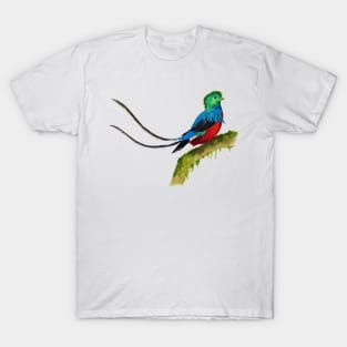 Quetzal in Watercolor T-Shirt